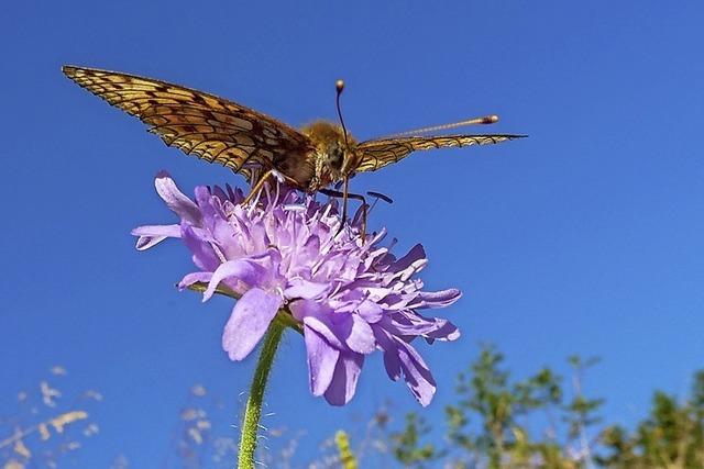 Fotoausstellung im Haus der Natur