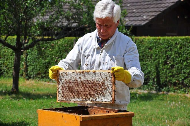 Imker Anton Berchtold kennt den Wert der Bienen-&#8222;Arbeit&#8220;.  | Foto: Jutta Schtz