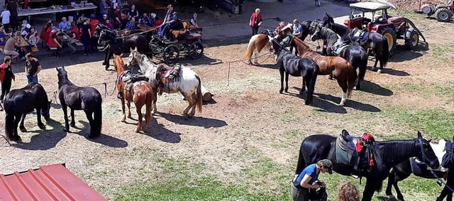 62 Pferde und fnf Kutschen waren beim...sverband Wehratal, veranstaltet wurde.  | Foto: Margit Moerchel