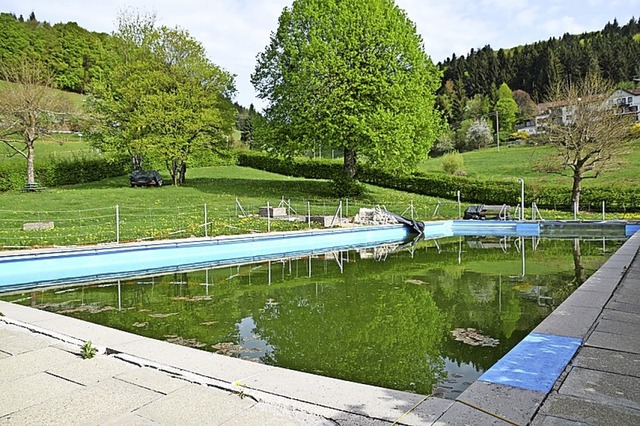 Das Schweigmatter Bad braucht fleiige Helfer fr den Groputz.   | Foto: Archivfoto: Stefan Ammann