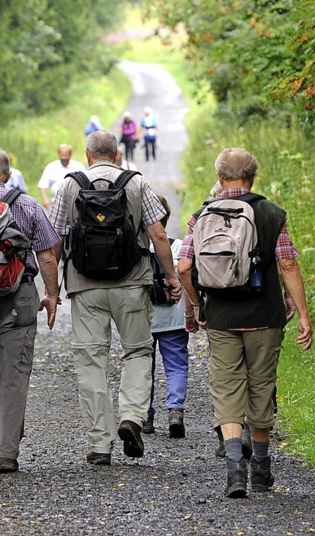 Zwei Wanderstrecken stehen  zur Auswahl.   | Foto: Symbolfoto: Zucchi (dpa)