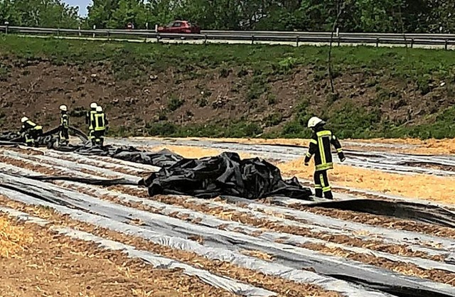 Feuerwehreinsatz im Spargelfeld: Der s...deckplanen auf die nahe Bundesstrae.   | Foto: Thilo Haberstroh/Feuerwehr