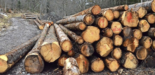 Die Abfuhr kleinerer Holzmengen bringe...ung der FBG Ibach-Hotzenwald-Todtmoos.  | Foto: Sebastian Barthmes
