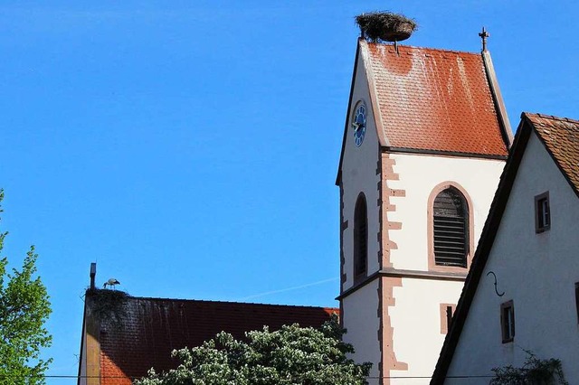 Auf dem Eimeldinger Kirchendach brten diesmal gleich drei Storchenpaare.  | Foto: Victoria Langelott