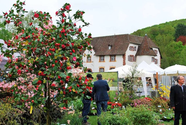 Das Wasserschloss verleiht  der Schau ein besonders idyllisches Ambiente.  | Foto: Thomas Loisl Mink