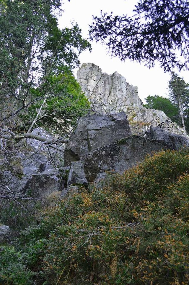 Teufelsfelsen am Kandel.  | Foto: Billharz Wilhelm