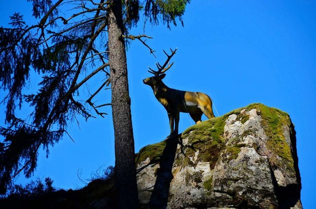 Darf der Hirsch im Wehratal doch bleiben?  | Foto: Erika Bader