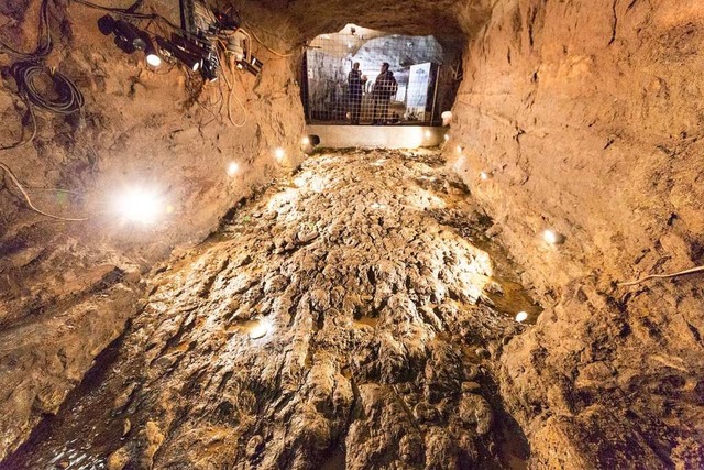 Rund 165 Millionen Jahre alt sind die ...nacher Bergwerks gefunden worden sind.  | Foto: Chris Iseli