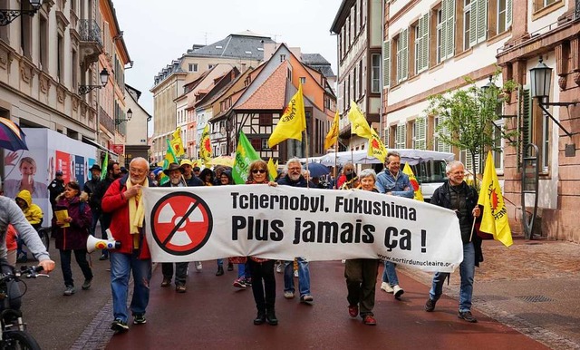 Der Demonstrationszug in der Colmarer Altstadt  | Foto: Julius Steckmeister