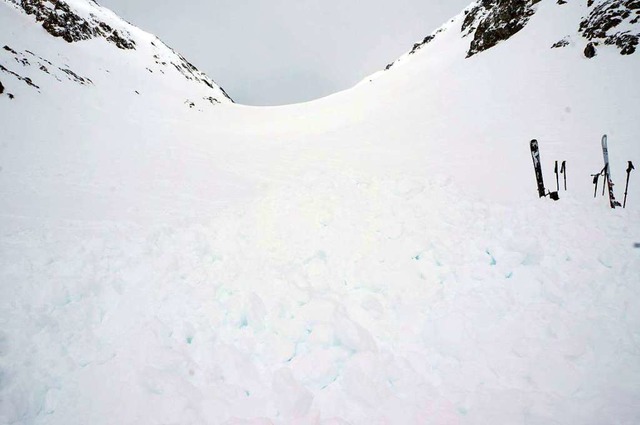 Dieses von der Kantonspolizei Wallis z...chmittag nur noch tot geborgen werden.  | Foto: dpa