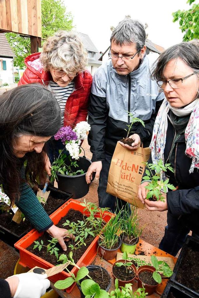 Dicht umlagert waren Stiegen und Kartons mit den Setzlingen und Ablegern.  | Foto: Markus Zimmermann