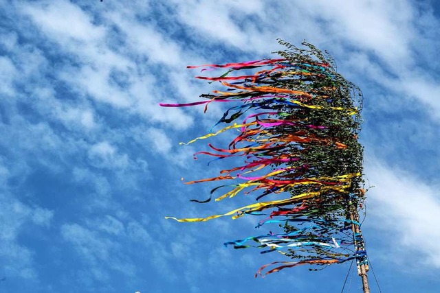 Traditionell wird vielerorts ein Maibaum aufgestellt.  | Foto: dpa