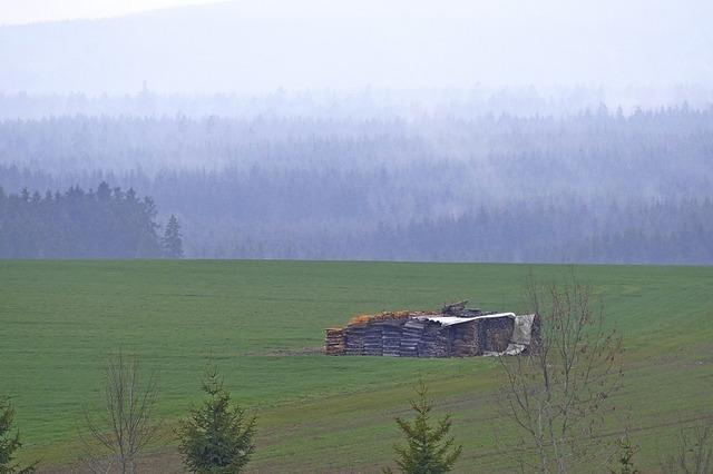 Brauner Fleck in saftigem Grn