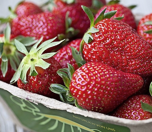 Familie Denzer zeigt, wie Erdbeeren wachsen und  was man daraus machen kann.   | Foto: Mike brombacher