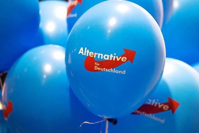 Sdbadische Abgeordnete emprt ber AfD-Konferenz im Bundestag