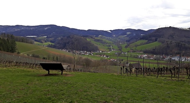 Blick vom Wissereck ins Glottertal und Fhrental   | Foto: Johannes Salzmann