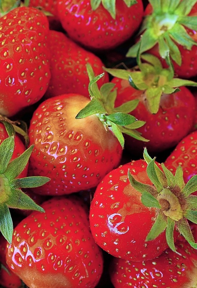 Lecker Erdbeeren aus der Region  | Foto: Thomas Kunz