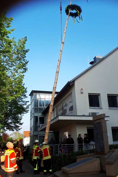 Die Feuerwehr stellte die 18 Meter hohe Föhre in Hartheim  fachgerecht auf.  | Foto: Otmar Faller