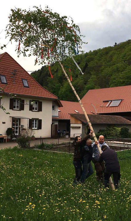 Auch im kleinen Mnstertler Ortsteil ... der Obermnstertler Maibaum gestellt  | Foto: Manfred Lange