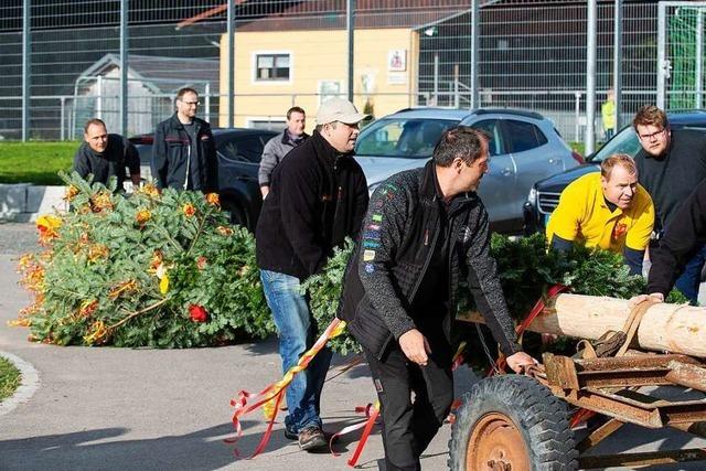 Fotos: Maibaumstellen in Gndelwangen