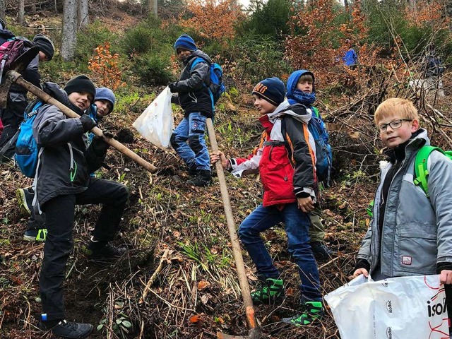 Schler aus Simonswald bettigten sich...nd pflanzten 150 Laub- und Nadelbume.  | Foto: Schule