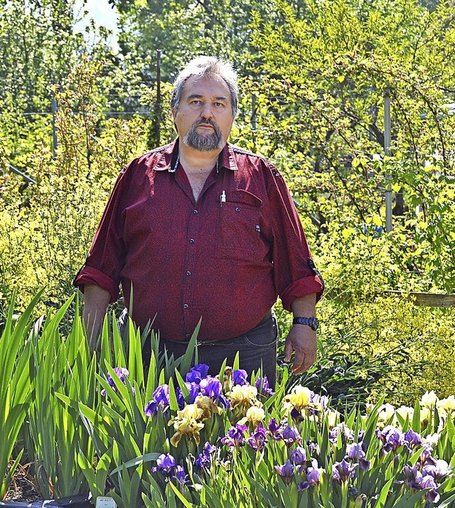 Fritz Lehmann prsentiert stolz seinen Irisgarten in Brennet.   | Foto: Barbara Halder