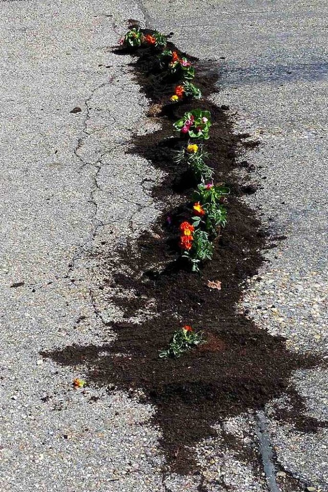 Schlaglcher und offene Ritzen im Stra...urgisnacht Blumenbeete daraus gemacht.  | Foto: Barbara Odrich-Rees