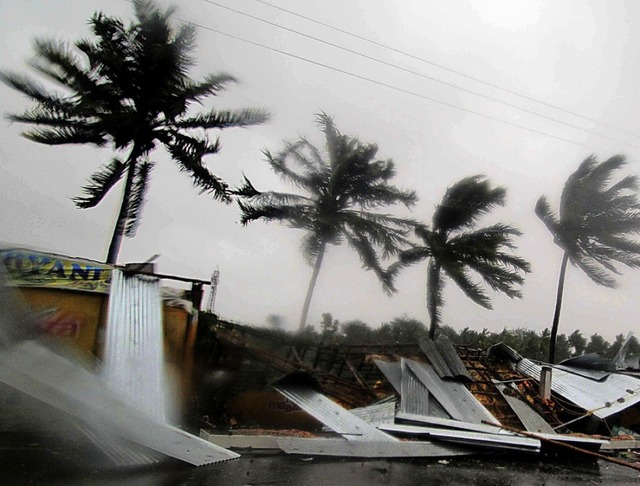Palmen trotzen dem Sturm.   | Foto: dpa