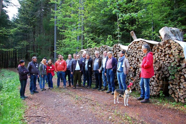 Der Vorsitzende der Forstbetriebsgemei... in der Sommerhalde auf dem Schnberg.  | Foto: Wolfgang Beck