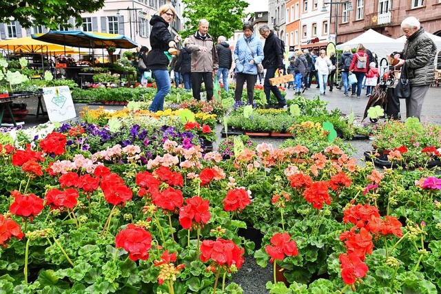 Der Blumenmarkt verwandelte den Alten ...atz wieder in ein buntes Pflanzenmeer.  | Foto: Barbara Ruda