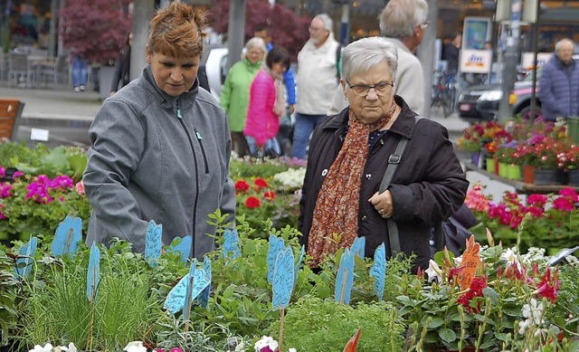 Viele Blumen gab es am Geranienmarkt zu bestaunen.   | Foto: Petra Wunderle