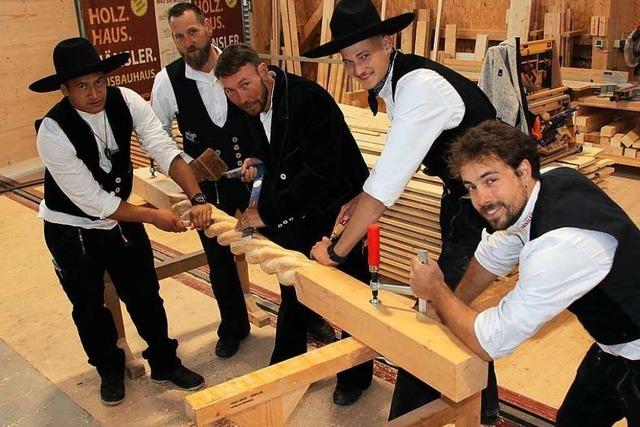 Fotos: Merdinger Gewerbeschau