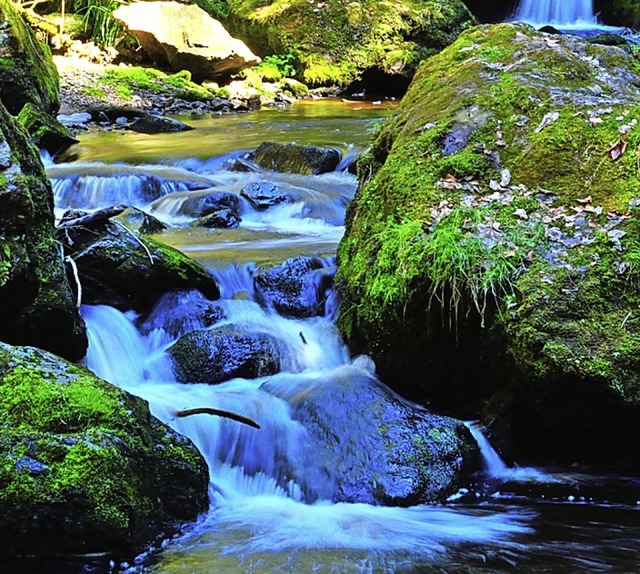 Ravennaschlucht   | Foto: Manuel Mak