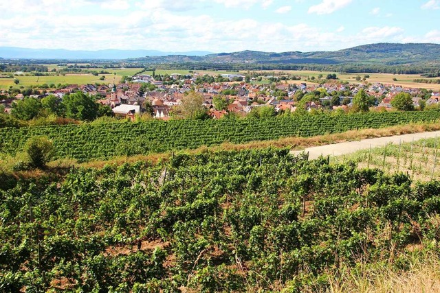 Laute Musik am Rebberg: Das empfinden Merdinger Brger als Lrmbelstigung  | Foto: Mario Schneberg