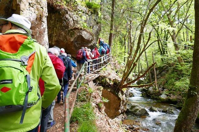 In Todtnau wurde ein Wanderweg nach einem verunglckten Waldarbeiter benannt