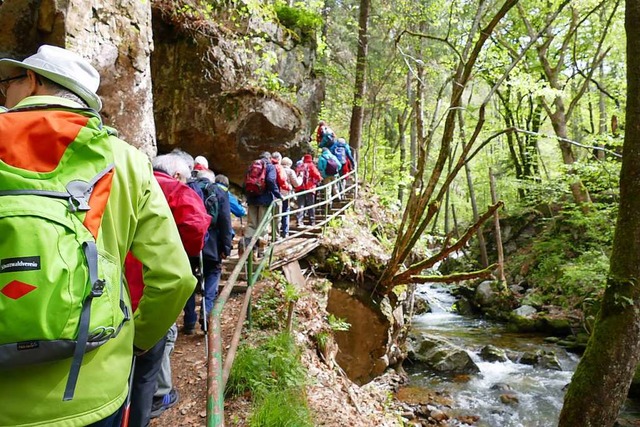 Der erneuerte Walter-Wagner-Weg fhrt ...nds mit etwas Glck Gmsen beobachten.  | Foto: Julia Brenner