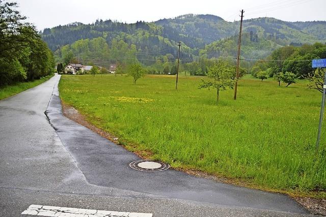 Raitbacher wollen Neubaugebiet am Bahnhof