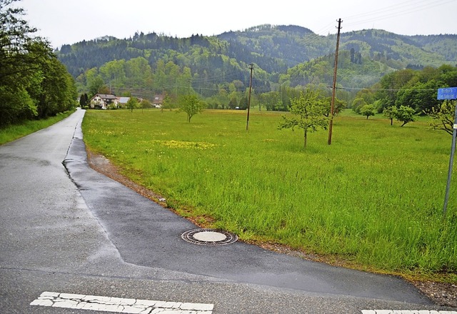 Hier direkt entlang der Strae &#8222;...ues Baugebiet erschlossen werden.       | Foto: Edgar Steinfelder