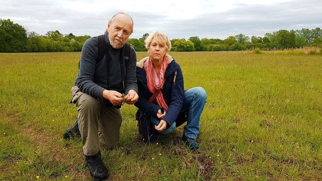 Dietmar und Silke Keil begutachten das...e Orchideenknollen ausgegraben wurden.  | Foto: Karl Kovacs