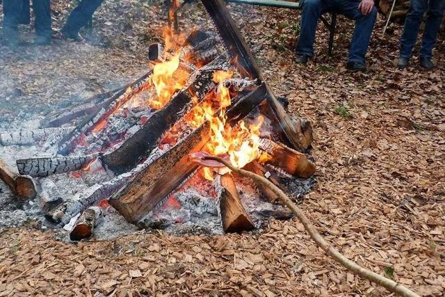 Strenge Auflagen fr Selbstwerber im Breisacher Stadtwald