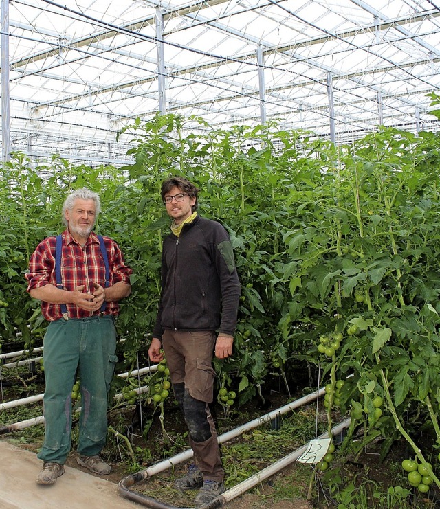 Jrgen Reinhard (links) und Lukas Weid...ischinger Gewchshaus bei den Tomaten.  | Foto: Reinhard Cremer