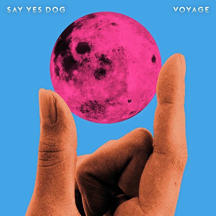 Albumcover von &#8222;Voyage&#8220;, das am 10. Mai erscheint  | Foto: Say Yes Dog