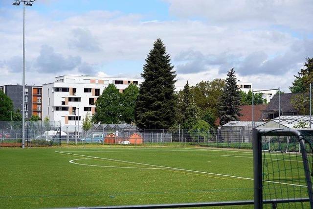 Warum der Umbau der Alemannia-Sportanlagen in Zhringen stockt