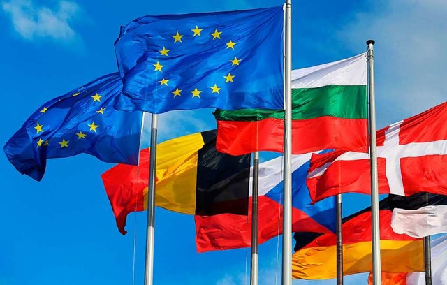 Nationalfahnen der EU-Mitgliedsstaaten...hen Parlament in Straburg aufgezogen.  | Foto: Karl-Josef Hildenbrand dpa