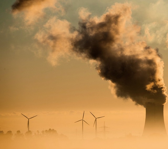 Der Druck auf die Bundesregierung, geg...mensen CO2-Aussto vorzugehen, wchst.  | Foto:  DPA