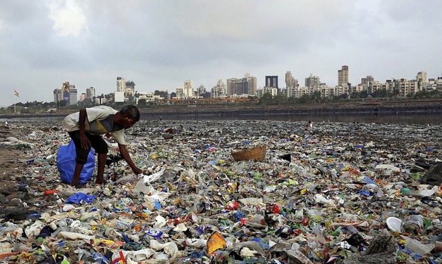 Ein Mann sammelt in Indien Plastikmll am Strand.  | Foto: Rafiq Maqbool (dpa)