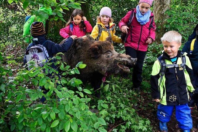 Kindergartenkinder wagen sich mit Jgern zu den Tieren