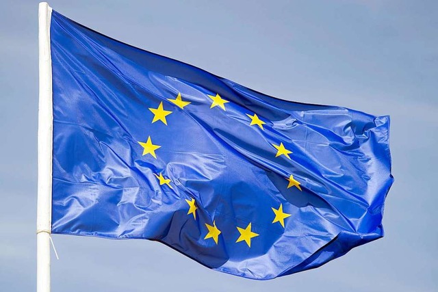 Eine Mglichkeit, Demokratie zu leben, bietet die Europawahl am 26. Mai.  | Foto: dpa