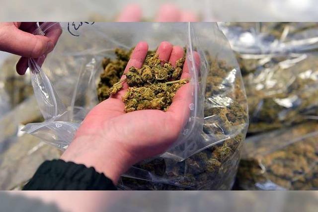 Mehrere Tonnen Cannabis in Lkw im Elsass beschlagnahmt