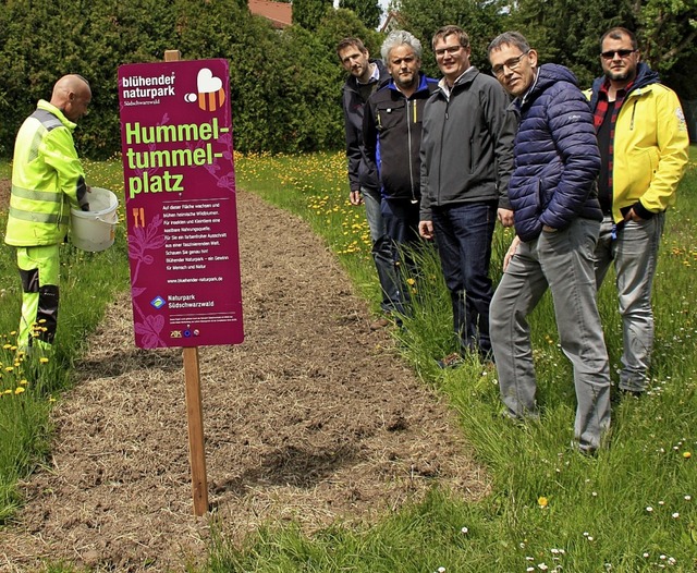 Peter Scholz von der Stadtgrtnerei ha... begutachten das Projekt (von links).   | Foto: Gerd Leutenecker